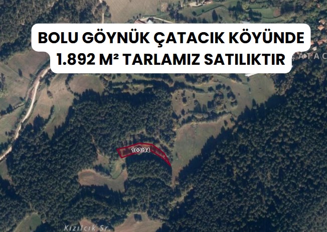 BOLU GÖYNÜK ÇATACIK KÖYÜNDE 1.892 M² TARLAMIZ SATILIKTIR. - BOLU GÖYNÜK fotoğraf 8